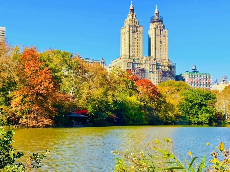 IMG_1672.jpg?type=w966