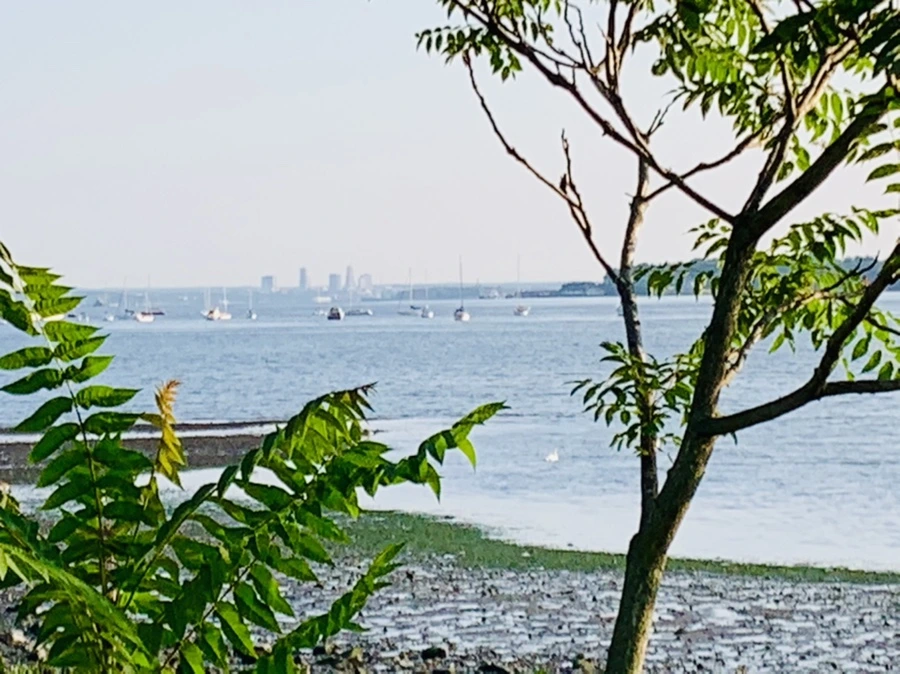 IMG_9822.jpg?type=w966