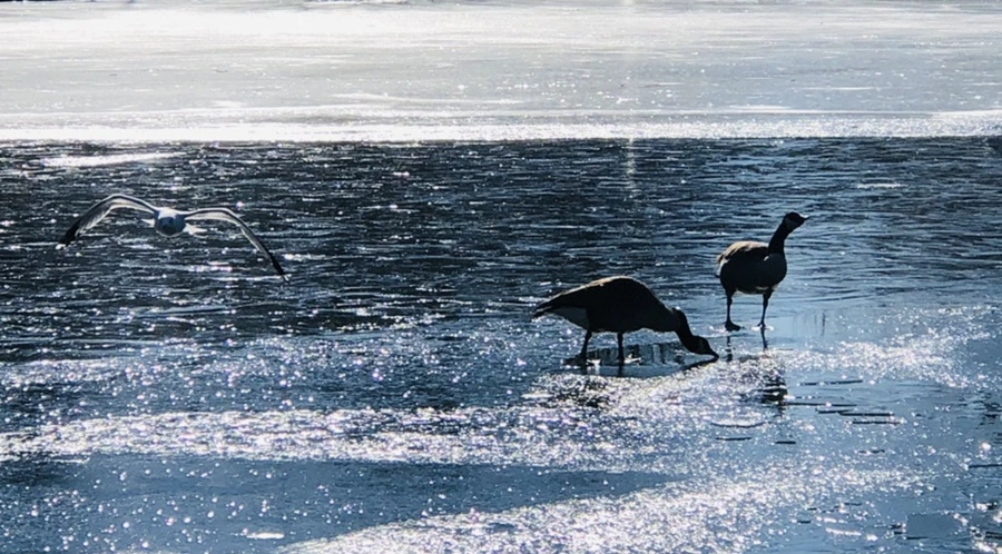 IMG_7956.jpg?type=w966