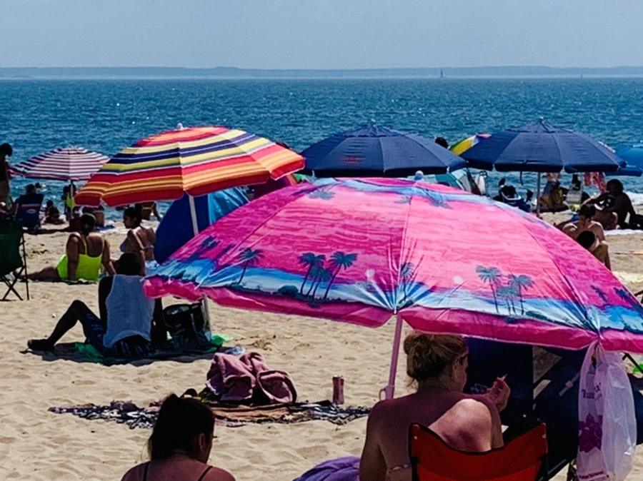 IMG_8823.jpg?type=w966