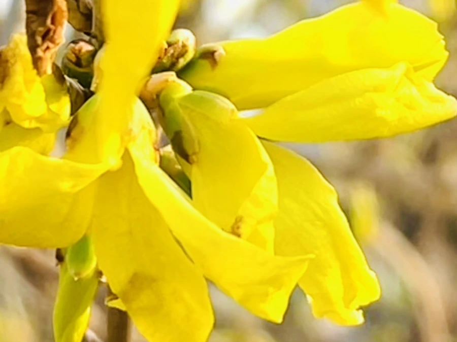 IMG_5923.jpg?type=w966