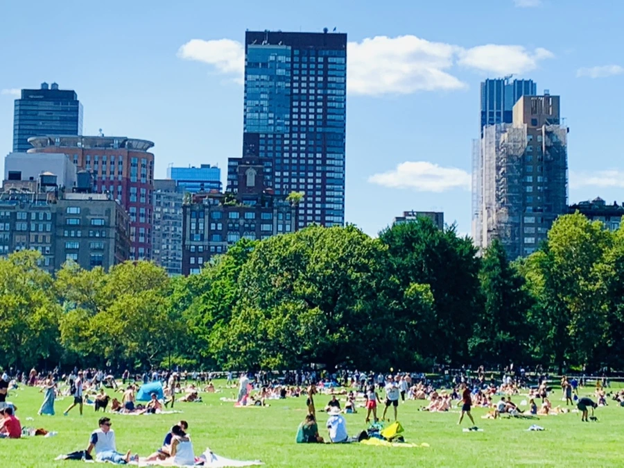 IMG_4374.jpg?type=w966