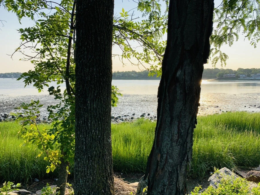 IMG_9804.jpg?type=w966