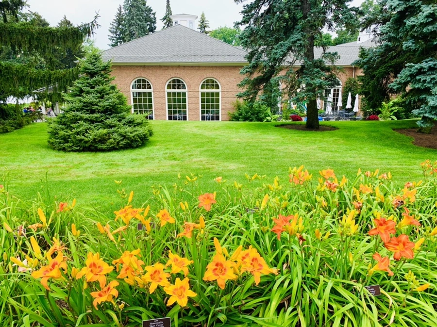 IMG_2597.jpg?type=w966