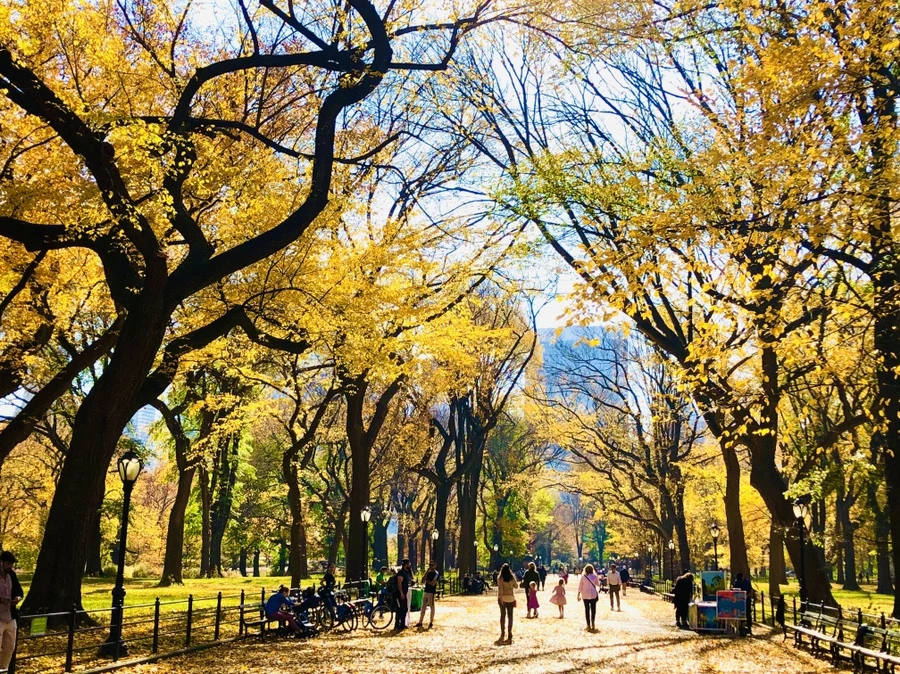 IMG_4296.jpg?type=w966