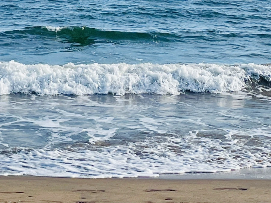 IMG_5081.jpg?type=w966