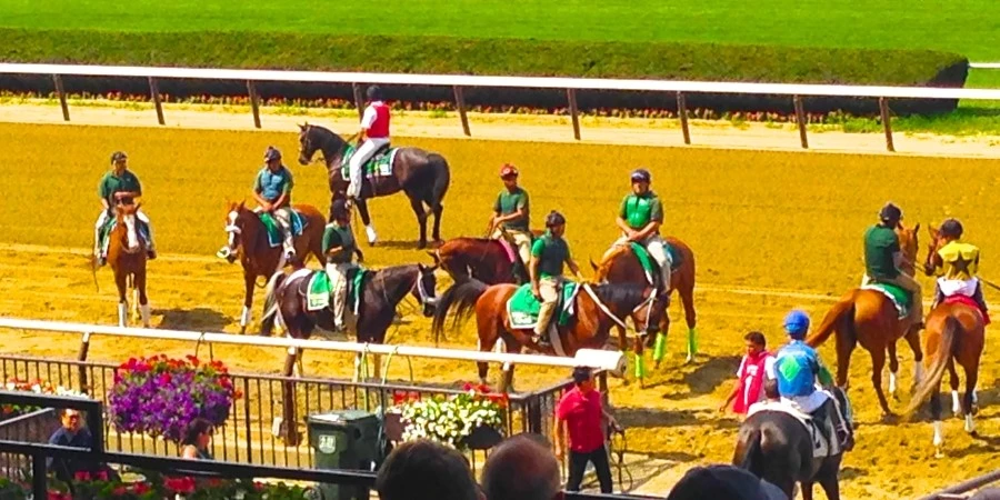 IMG_8574.JPG?type=w1