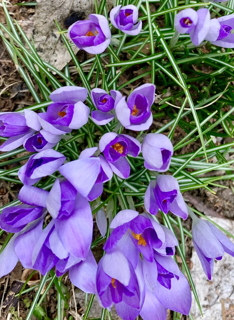 IMG_1718.jpg?type=w966