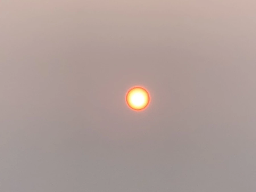 IMG_8058.jpg?type=w966