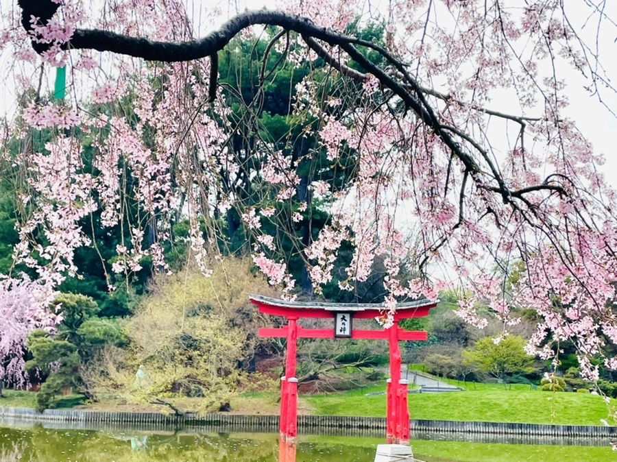 IMG_0426.jpg?type=w966