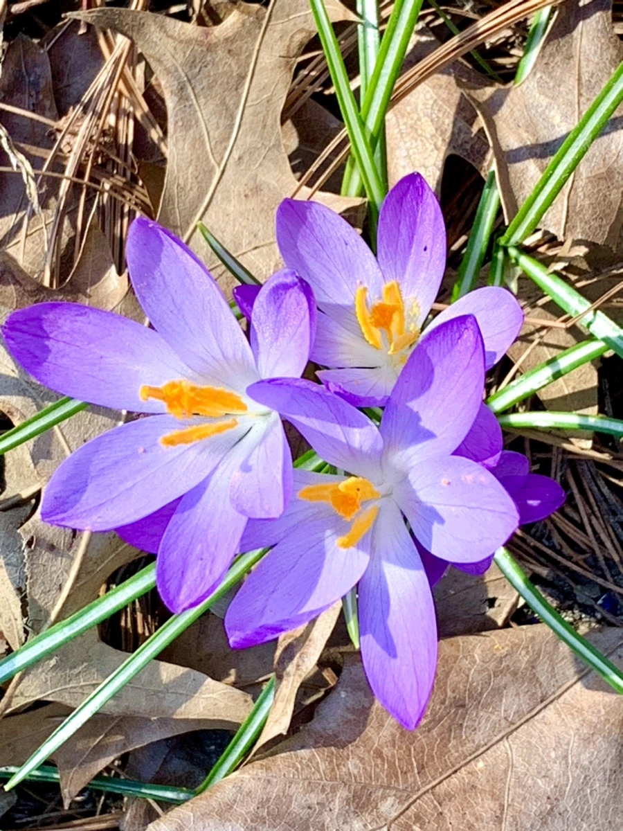 IMG_9771.jpg?type=w966