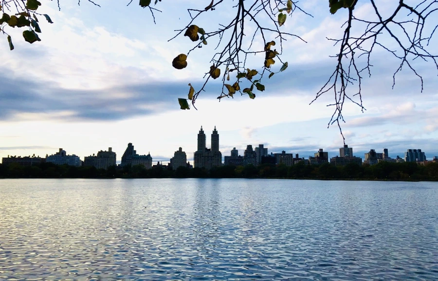 IMG_2796.jpg?type=w966