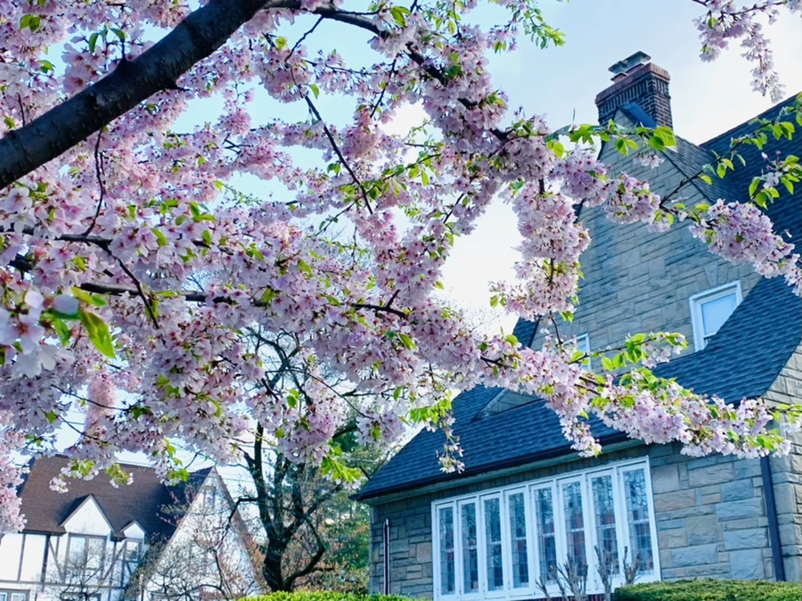 IMG_2616.jpg?type=w966