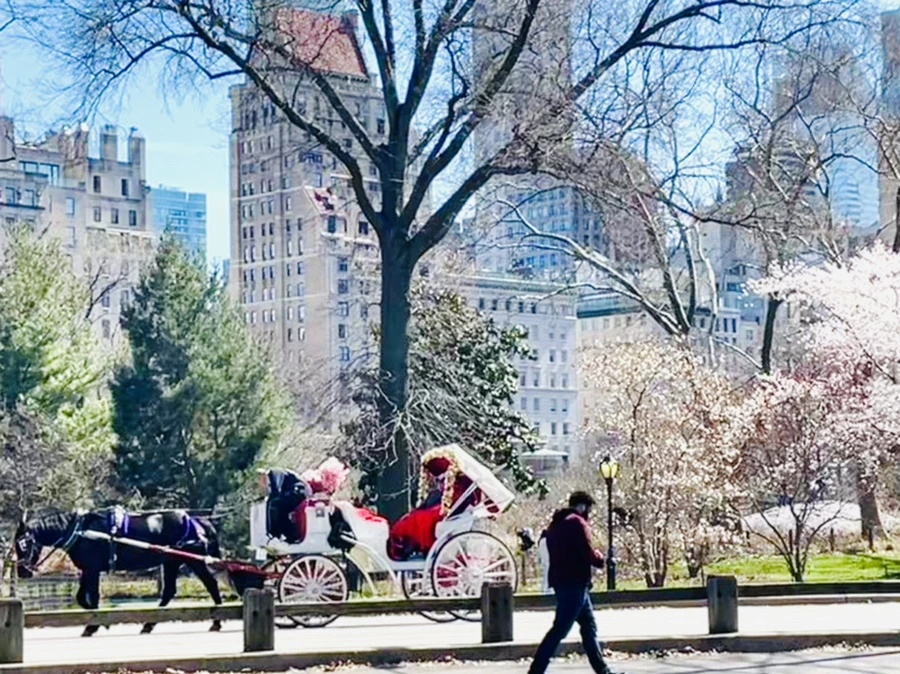 IMG_8480.jpg?type=w966