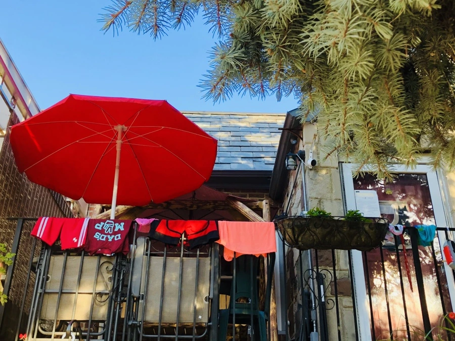 IMG_3596.jpg?type=w966