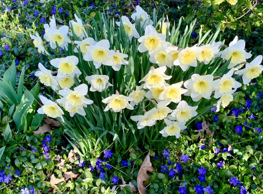 IMG_7521.jpg?type=w966