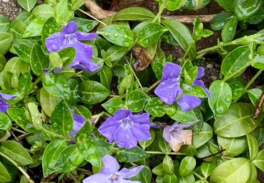 IMG_5344.jpg?type=w966