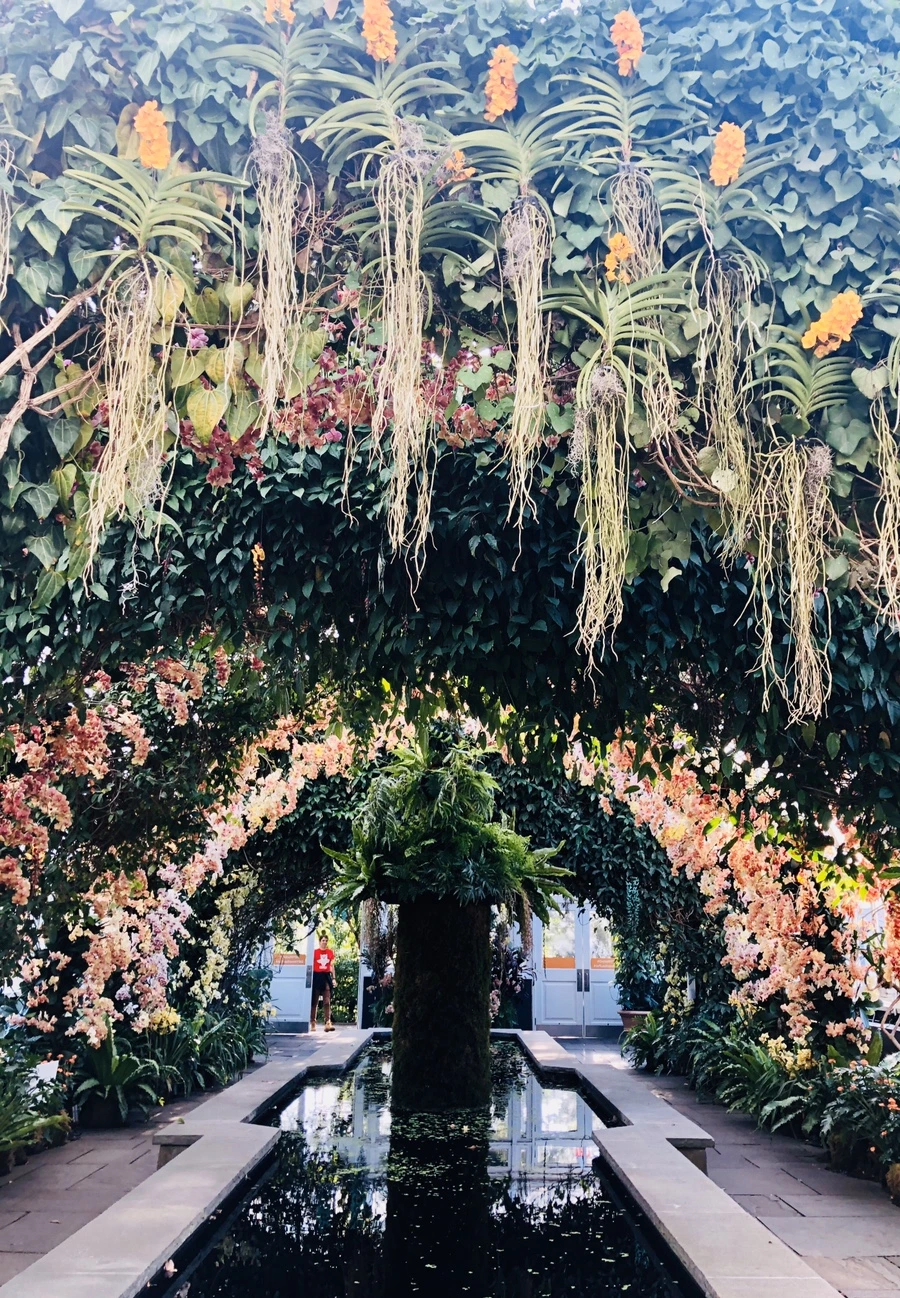 IMG_6301.jpg?type=w966