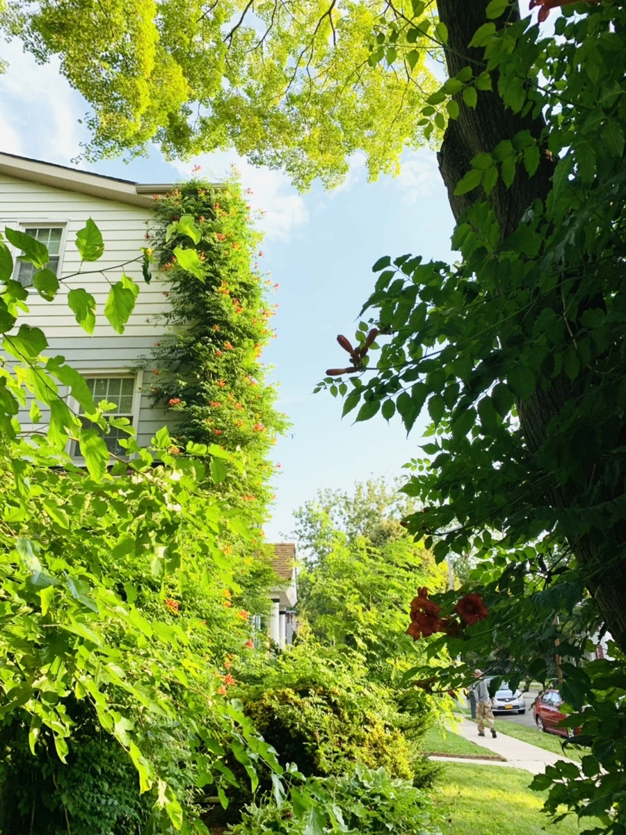 IMG_5828.jpg?type=w966