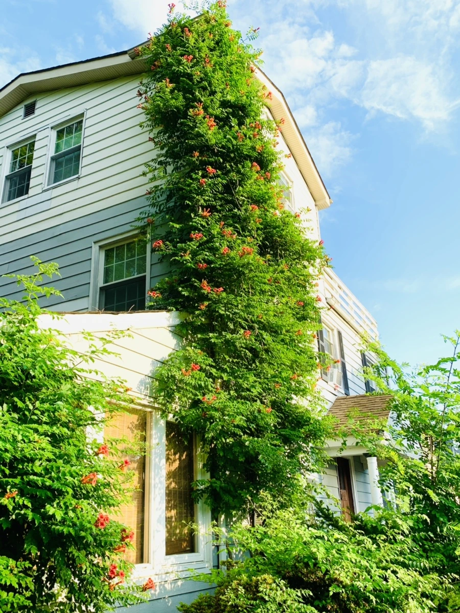 IMG_5839.jpg?type=w966