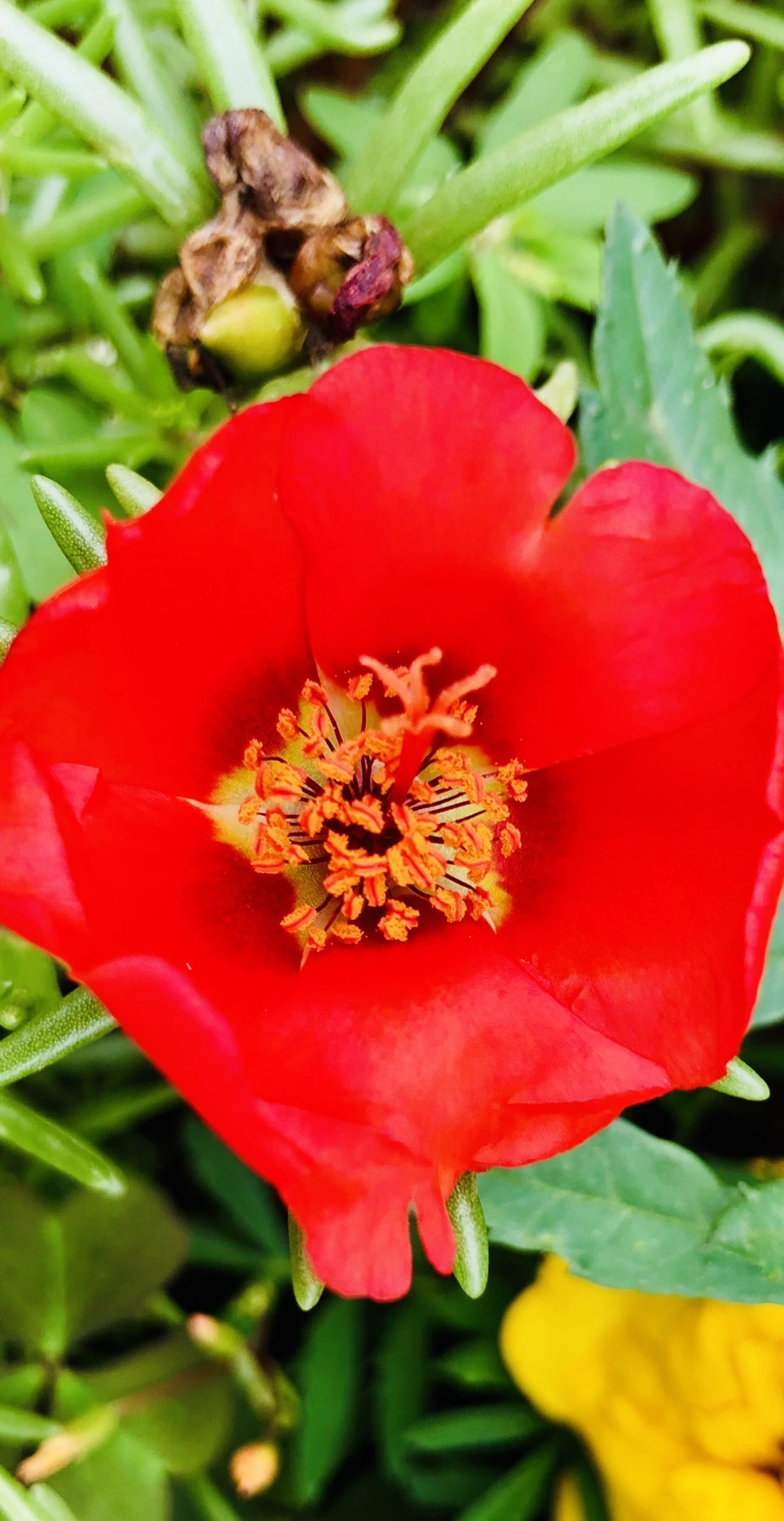 IMG_1280.jpg?type=w966