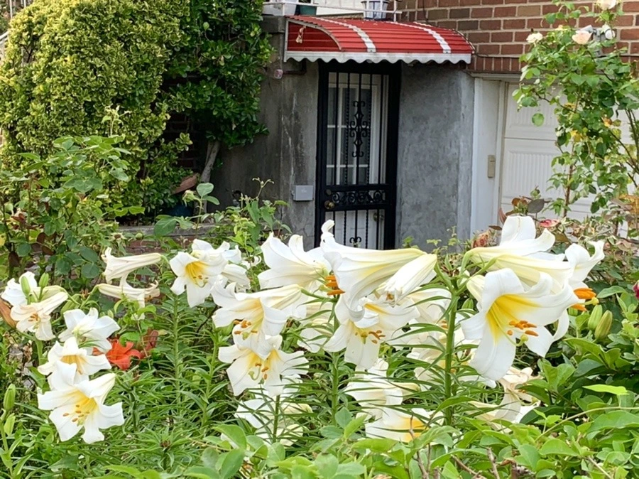 ekjmOOcp09EV74GaKcAlk91vNI0