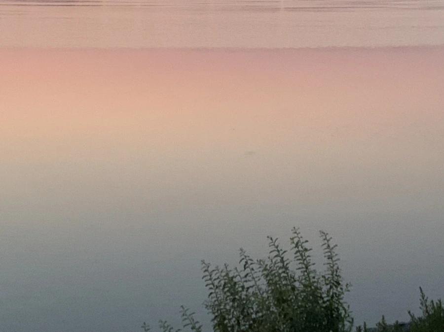 IMG_1829.jpg?type=w966