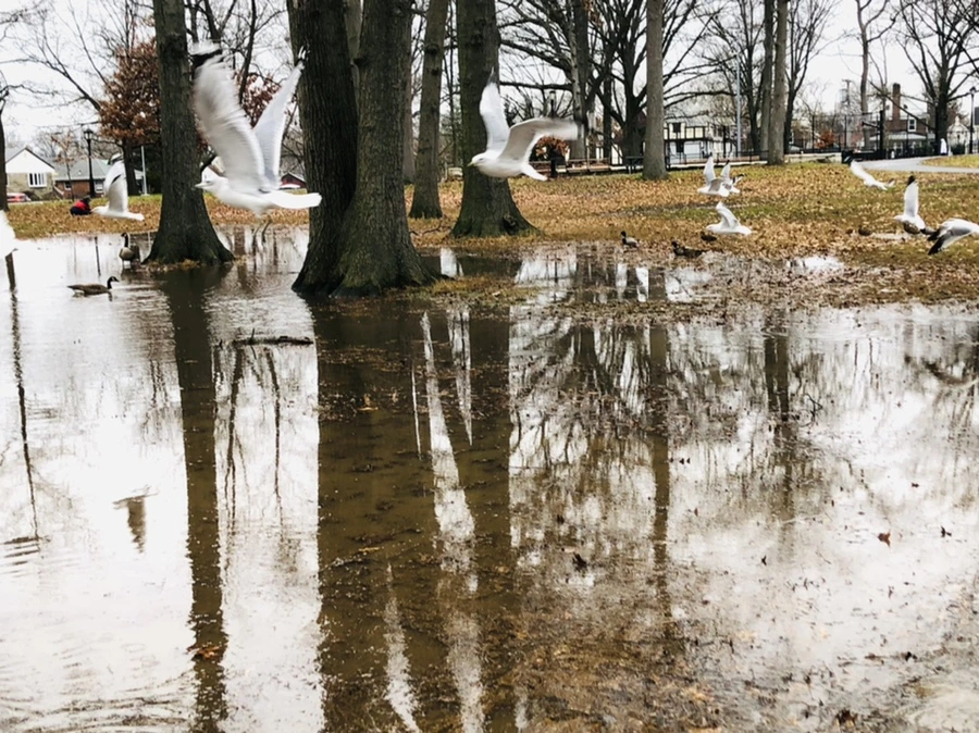 IMG_9487.jpg?type=w966