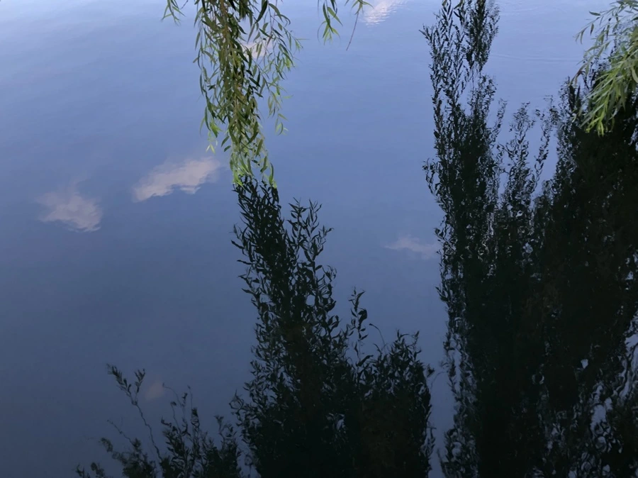 IMG_2874.jpg?type=w966