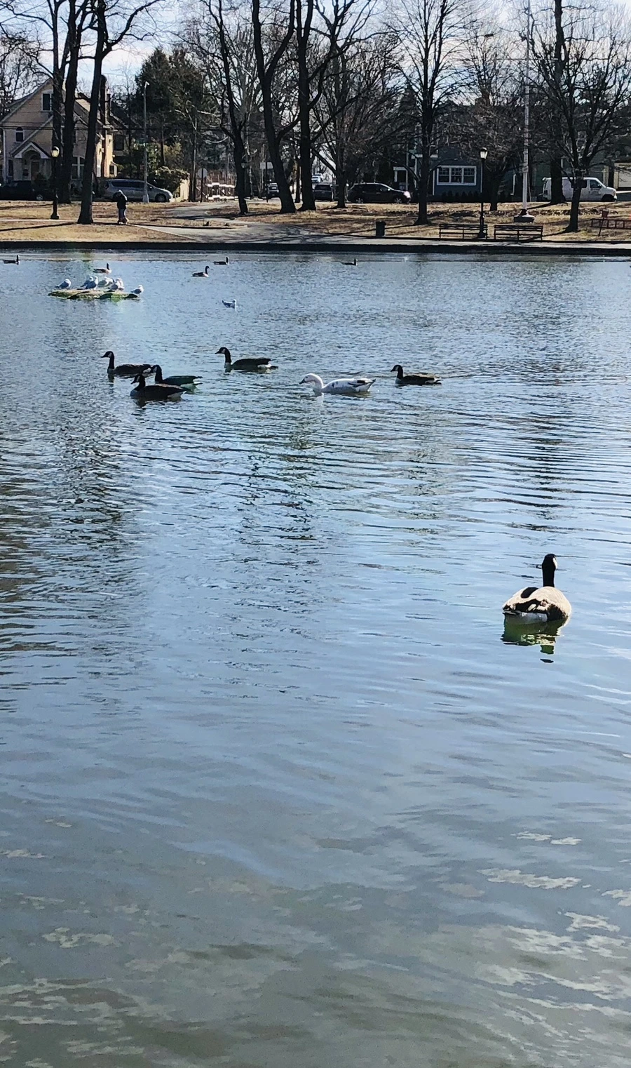 IMG_9500.jpg?type=w966