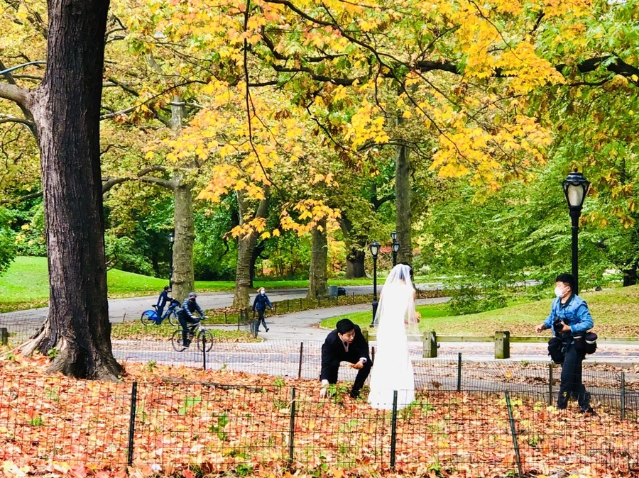 IMG_3032.jpg?type=w966