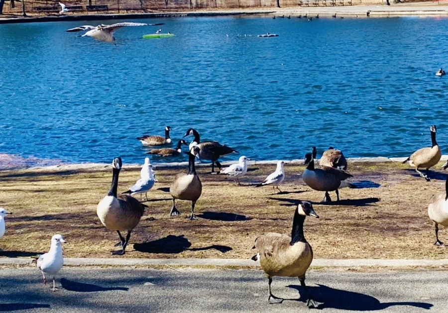 IMG_6688.jpg?type=w966