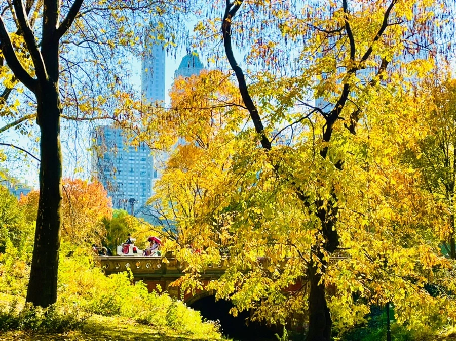 IMG_1535.jpg?type=w966