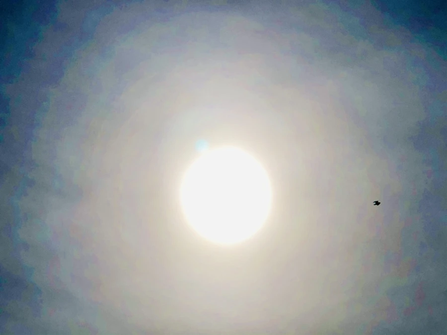 IMG_3165.jpg?type=w966