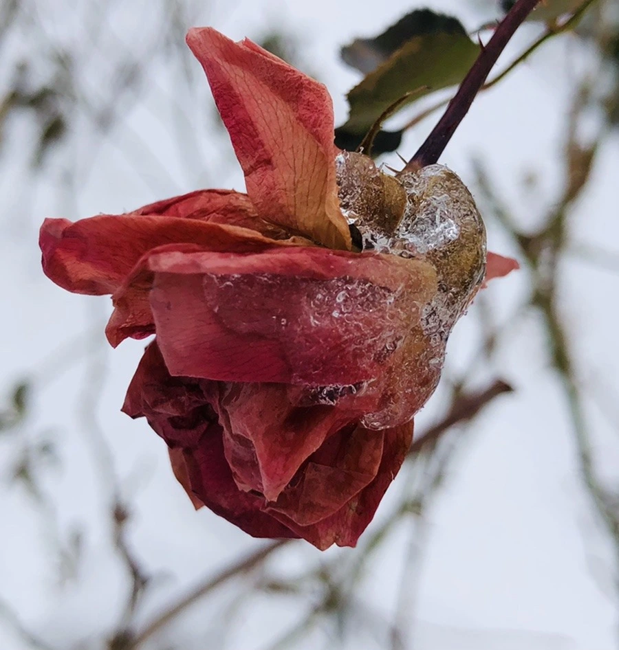 ct222qBbHgsEjCtgv3RtQccrSjA