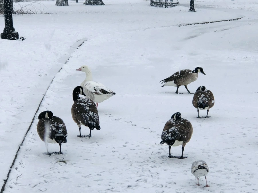 IMG_4207.jpg?type=w966