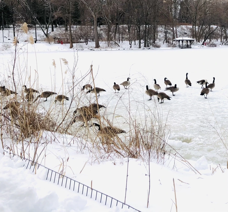 IMG_9481.jpg?type=w966