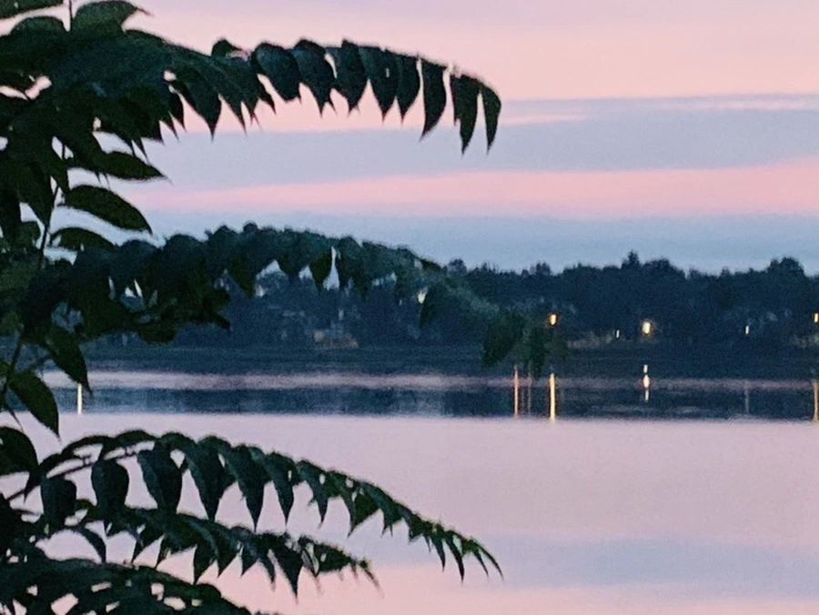 IMG_9466.jpg?type=w966