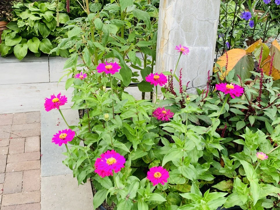 IMG_9364.jpg?type=w966