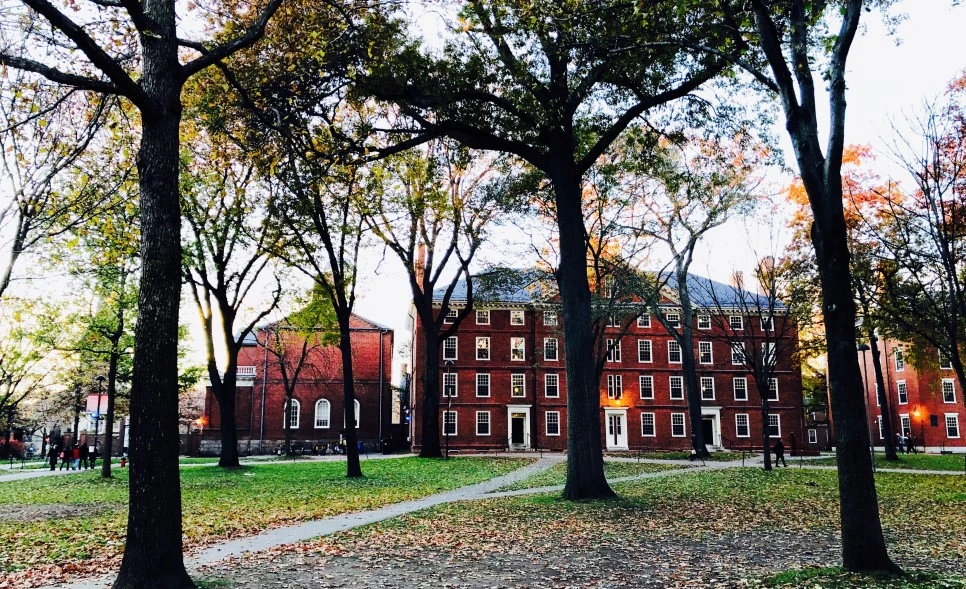 IMG_E1449.jpg?type=w966