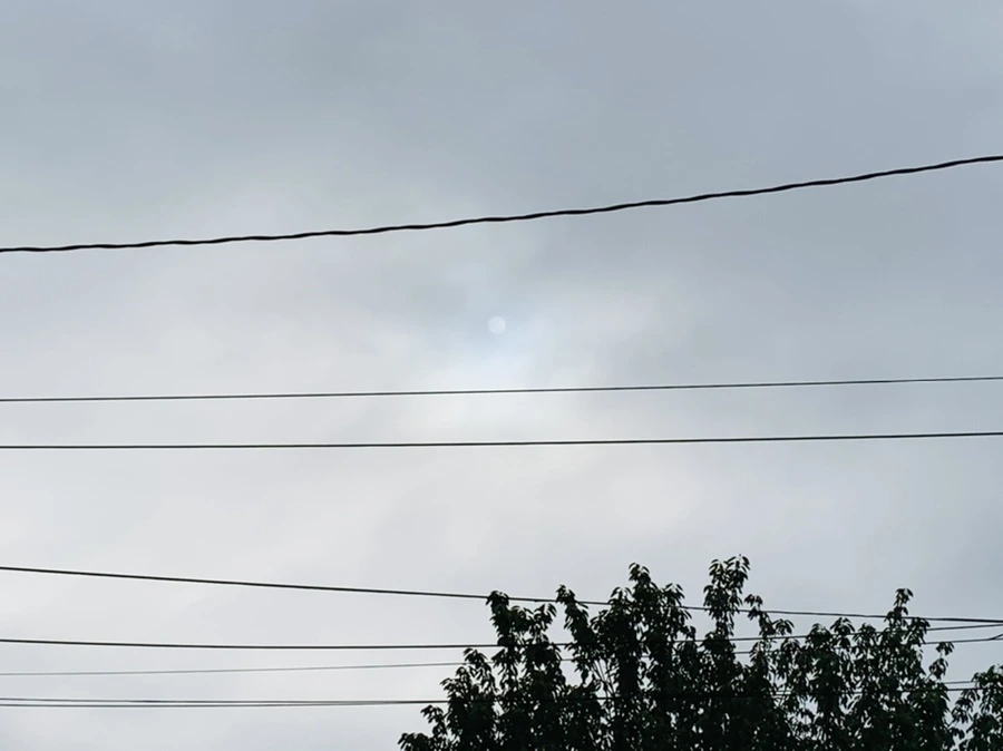 IMG_5745.jpg?type=w966