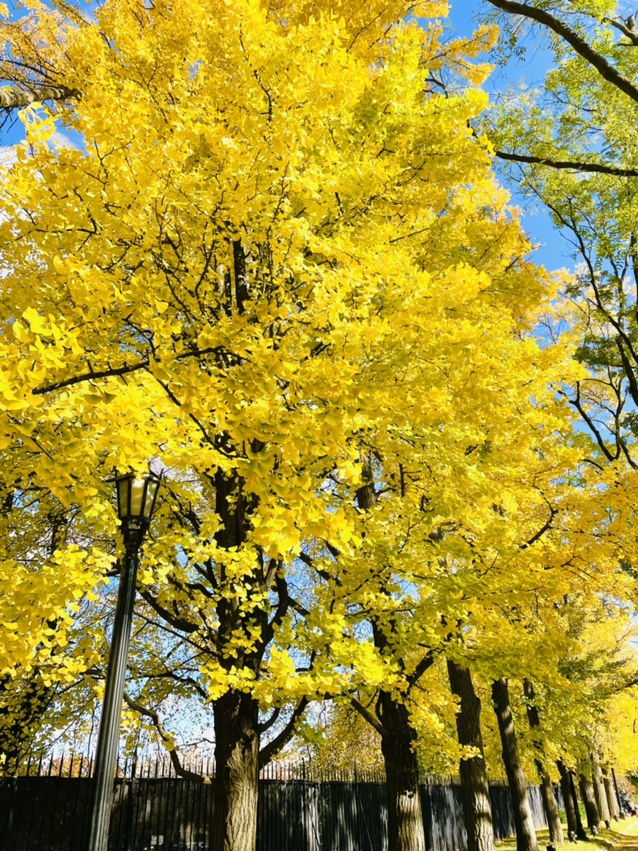 IMG_3198.jpg?type=w966