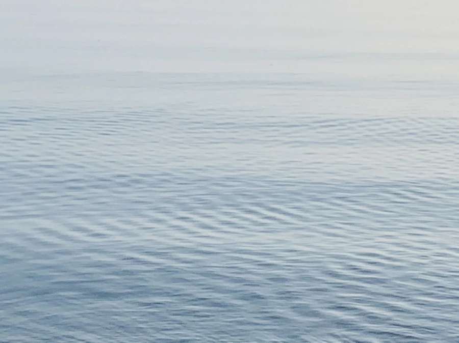 IMG_6491.jpg?type=w966