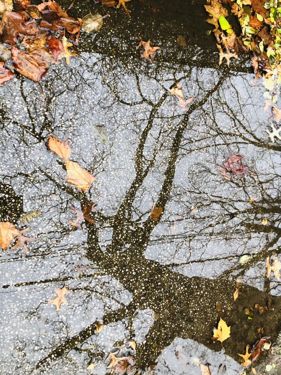 IMG_8139.jpg?type=w966