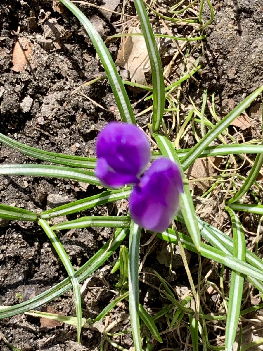 IMG_7470.jpg?type=w966