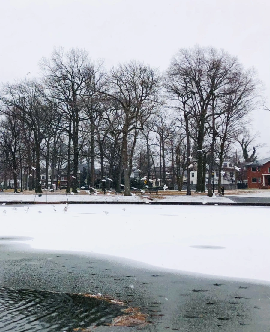 IMG_6100.jpg?type=w966