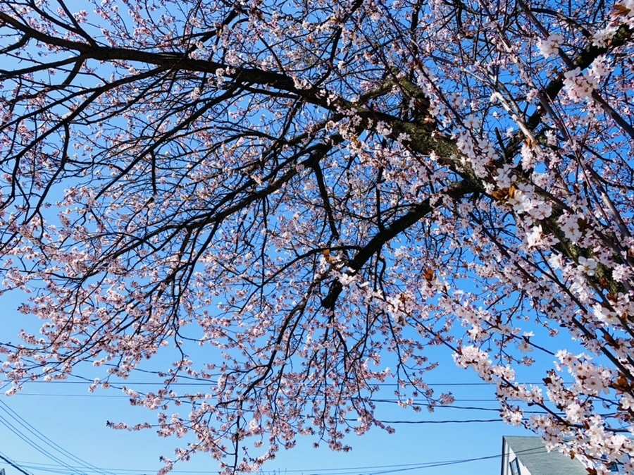 IMG_7920.jpg?type=w966