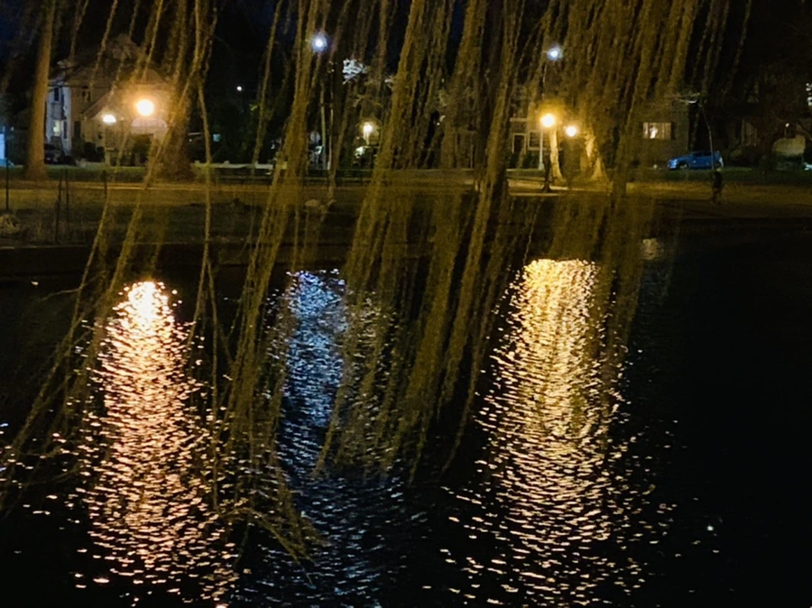 IMG_4596.jpg?type=w966