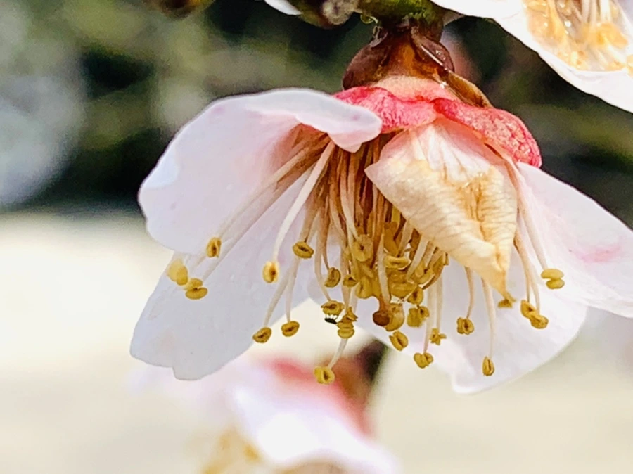 IMG_4007.jpg?type=w966