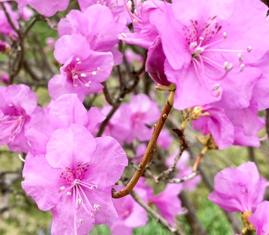 IMG_4678.jpg?type=w966